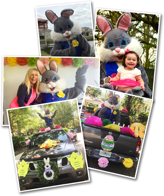 Book an Easter Bunny Book an Easter Bunny