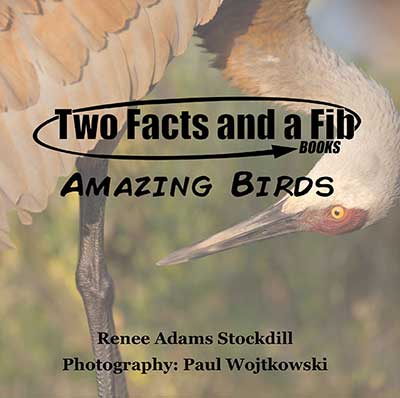 Two Facts and a Fib: Amazing Birds