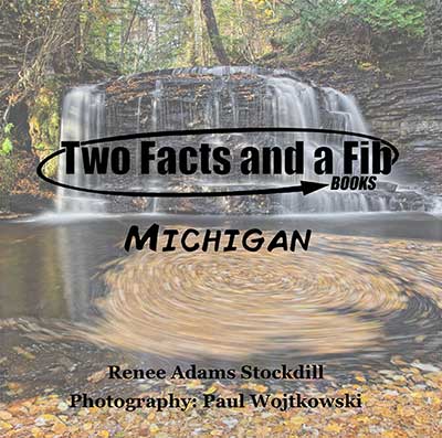 Two Facts and a Fib: Michigan