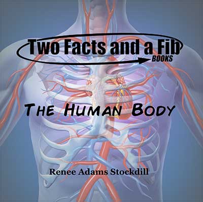 Two Facts and a Fib: The Human Body